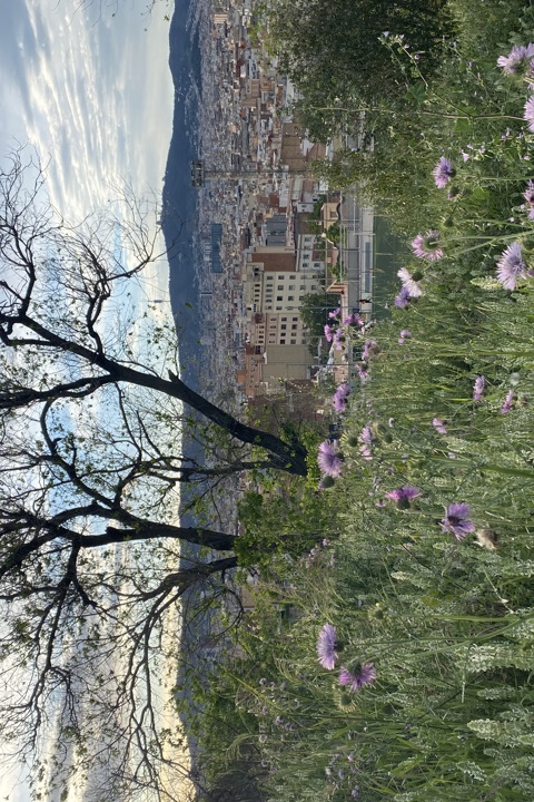 Central Barcelona OASIS under Montjuic Park - 14