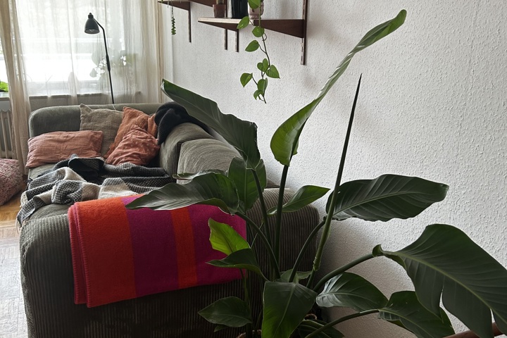 Cozy sunny apartment in central Hamburg - 1