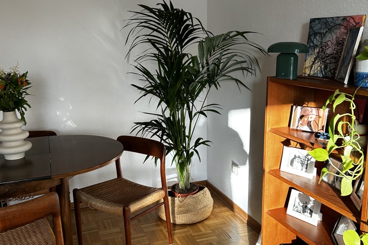 Cozy sunny apartment in central Hamburg - 2