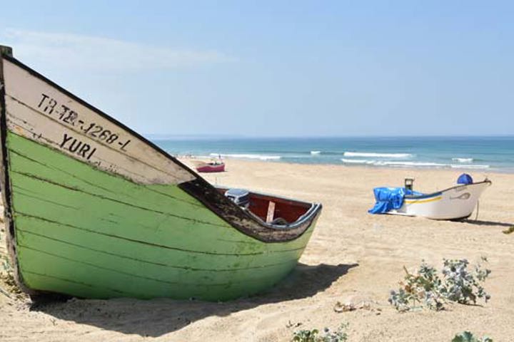 Work remotely by the ocean, surf, sun and Lisbon - 19