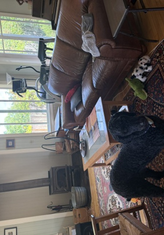 home swap in Vashon, Washington (State)