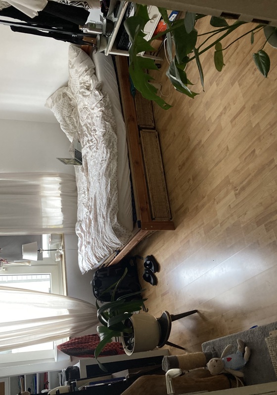 home swap in Cologne, Germany
