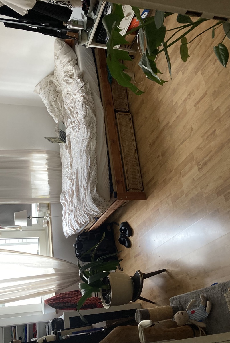 Cozy room in flat share near Rhine River