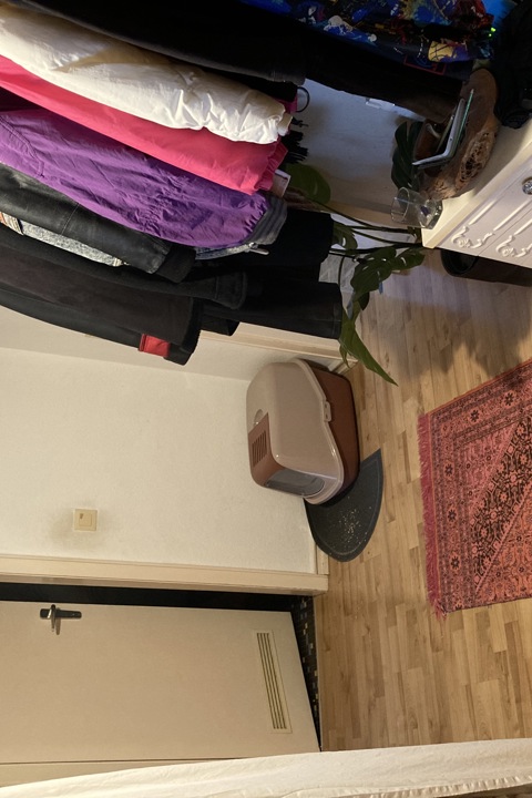 Cozy room in flat share near Rhine River - 3