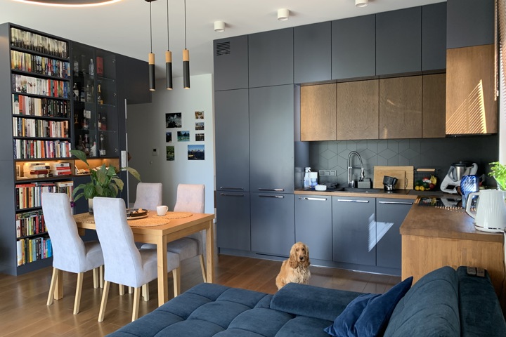 Quiet, high-quality flat near the city, green area - 1