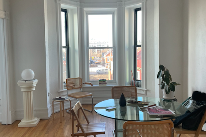 Peaceful Sun Drenched Artist Loft in East Pilsen - 5