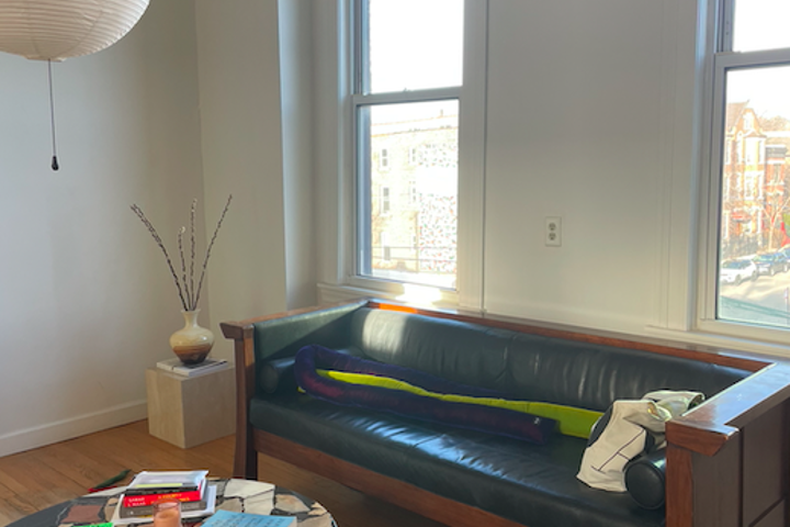 Peaceful Sun Drenched Artist Loft in East Pilsen - 2