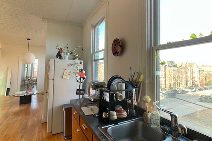 Peaceful Sun Drenched Artist Loft in East Pilsen - 3