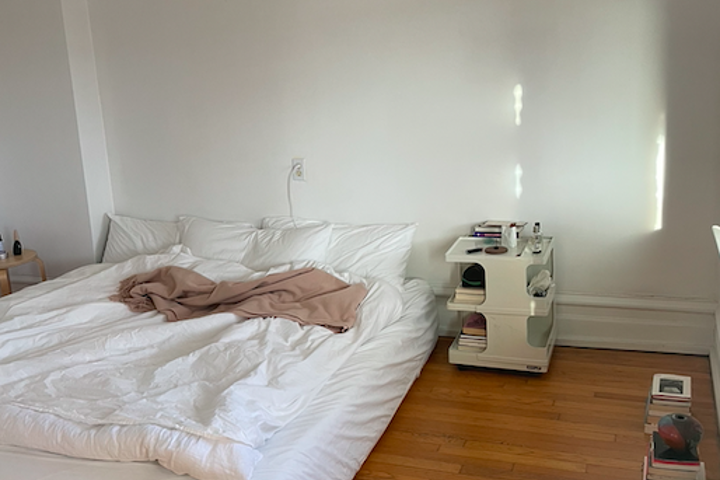 Peaceful Sun Drenched Artist Loft in East Pilsen - 1
