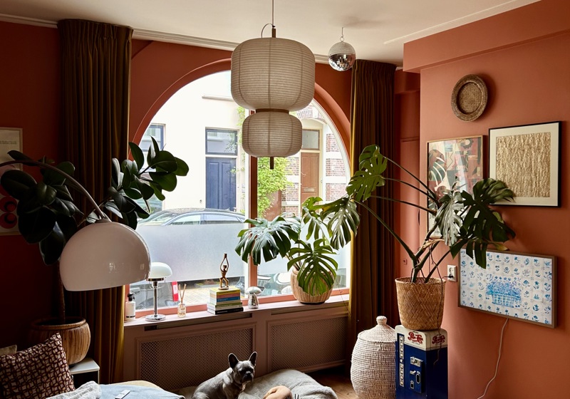 Garden home swap listing in Spijkerkwartier, Arnhem