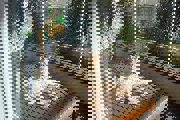 Spacious flat for singles/couples in Ajuda, Lisbon - 2