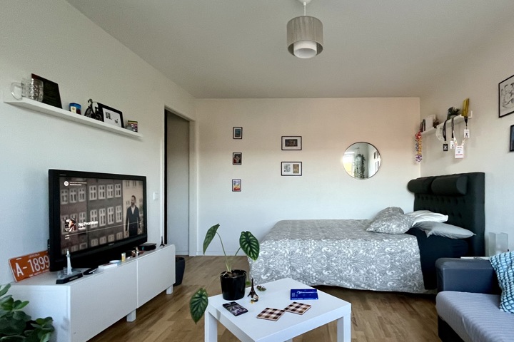 Central comfy flat in Malmö: work & explore SE/DK - 4