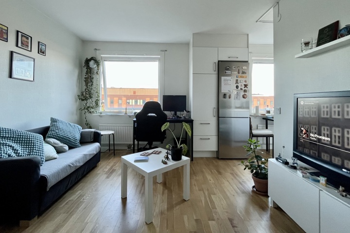 Central comfy flat in Malmö: work & explore SE/DK - 5
