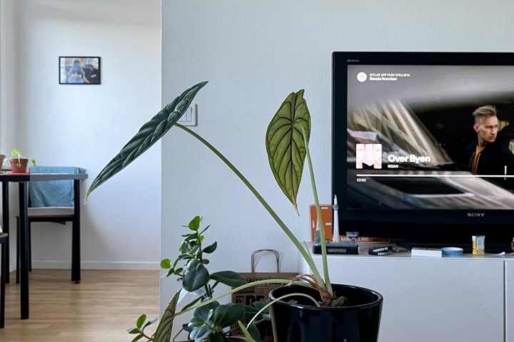 Central comfy flat in Malmö: work & explore SE/DK - 15
