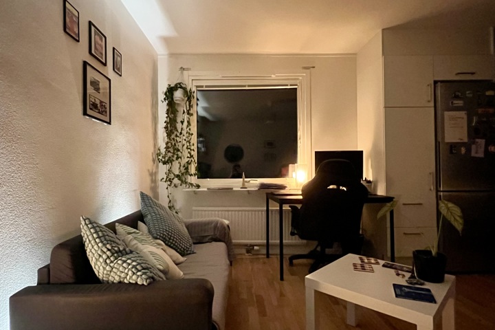 Central comfy flat in Malmö: work & explore SE/DK - 17
