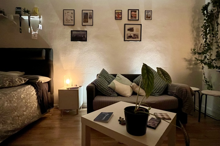 Central comfy flat in Malmö: work & explore SE/DK - 18