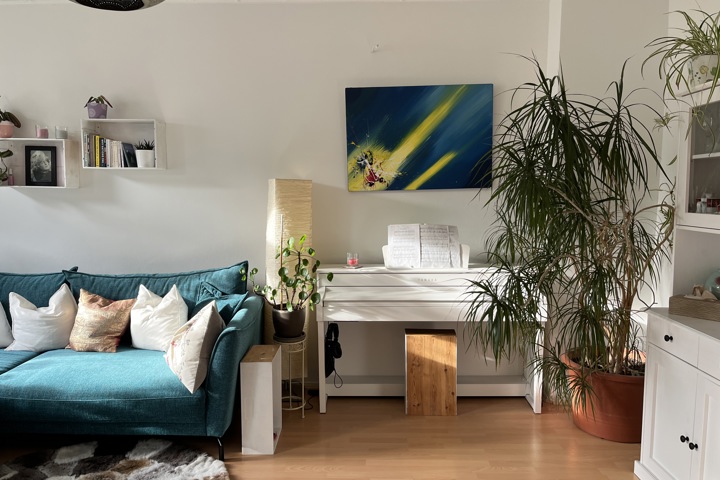 Light-flooded plant lovers city home - 1