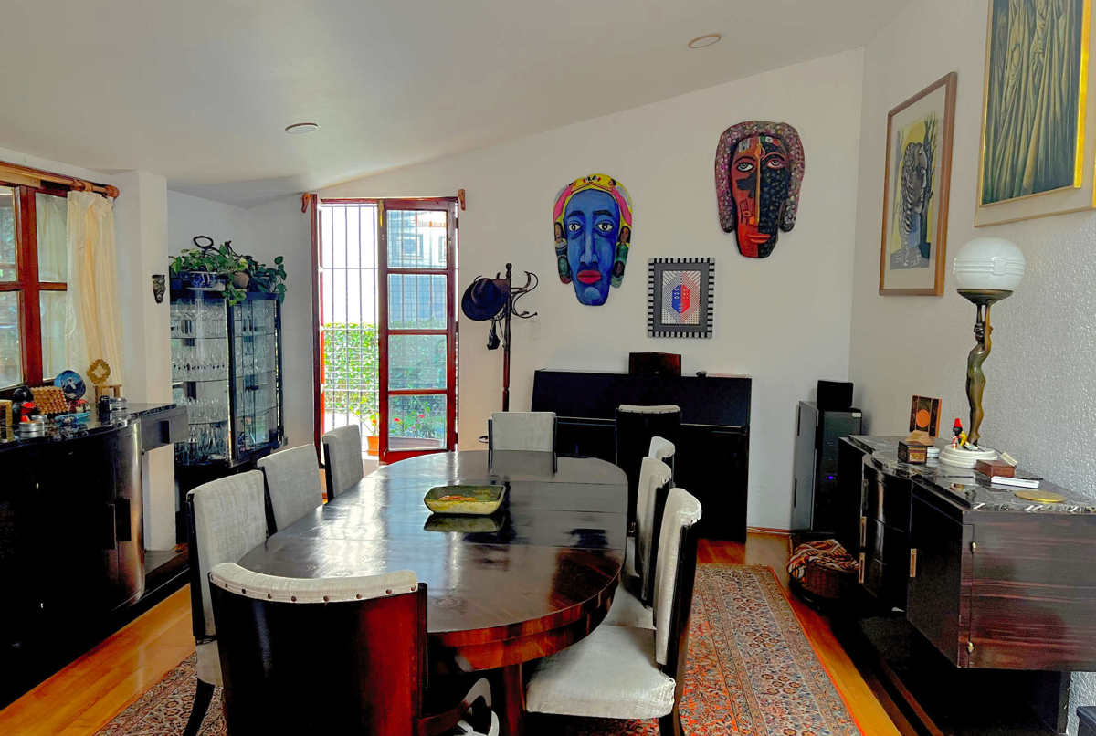 A forest oasis at the heart of San Angel