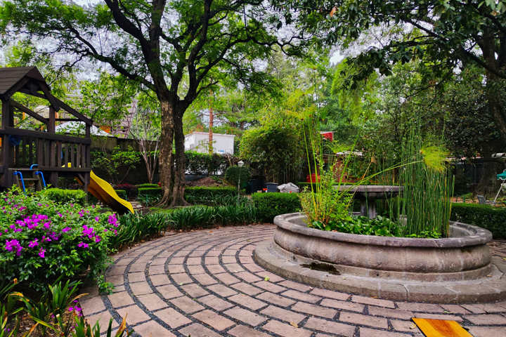 A forest oasis at the heart of San Angel - 3