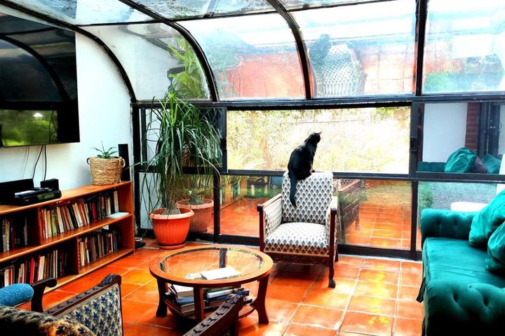 A forest oasis at the heart of San Angel - 2