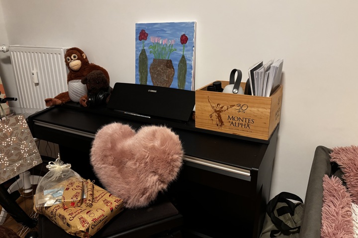 Cozy flat in Berlin - 2