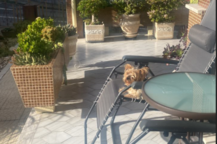 Modem apartment in a small calm village - 16