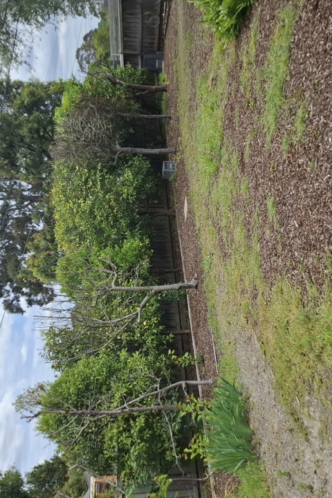 Warm &amp; Cosy Home with Light-Filled, Relaxed Vibe - 3