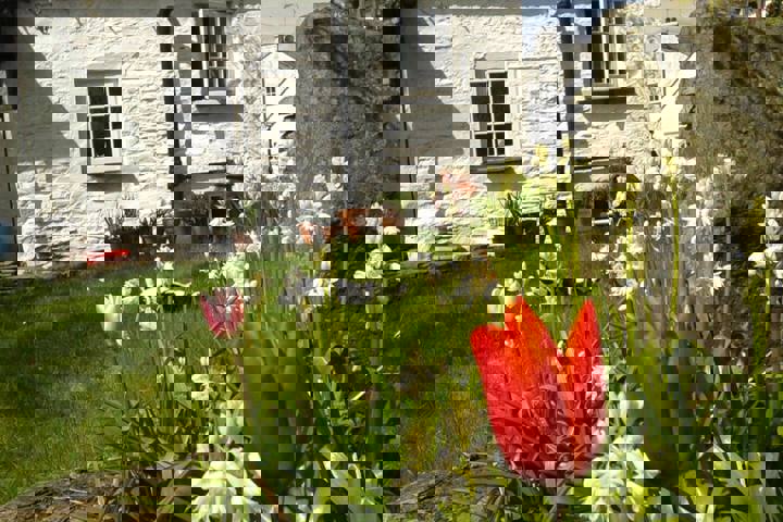 Charming Lake District cottage in quiet village - 14