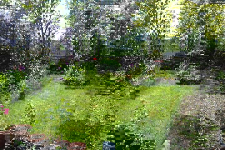 Charming Lake District cottage in quiet village - 6