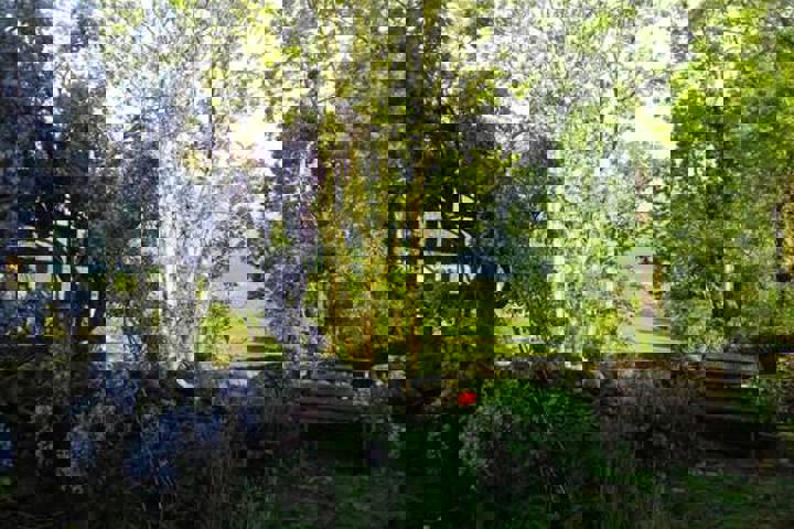 Charming Lake District cottage in quiet village - 15