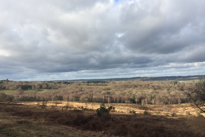 Ashdown Forest Retreat - 11