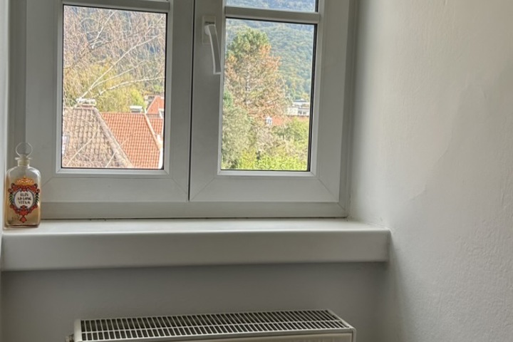 Cozy apartment for short-term or temporary rent - 9