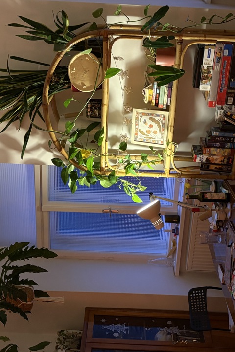 Cozy home in Vienna - 2