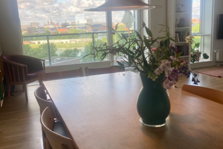 Sunny flat with skyline-view, near hip CPH areas - 2