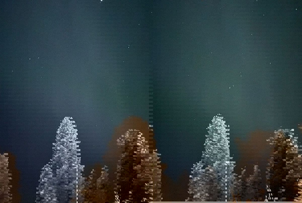 Experience stunning Swedish Lapland