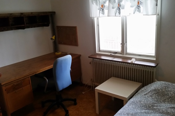 Experience stunning Swedish Lapland - 9