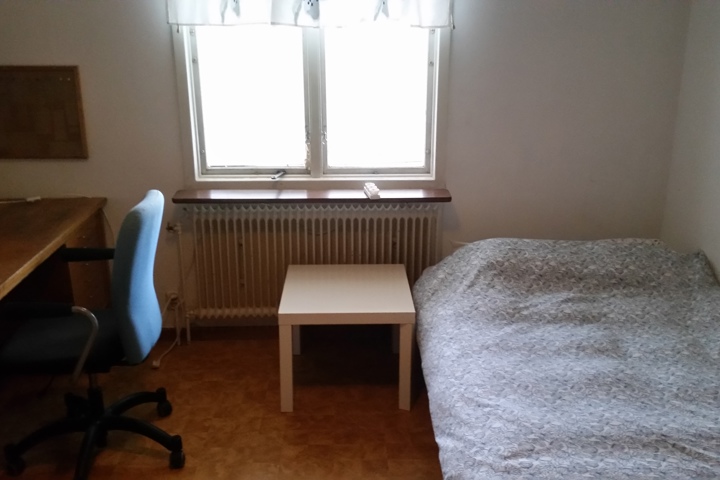 Experience stunning Swedish Lapland - 10