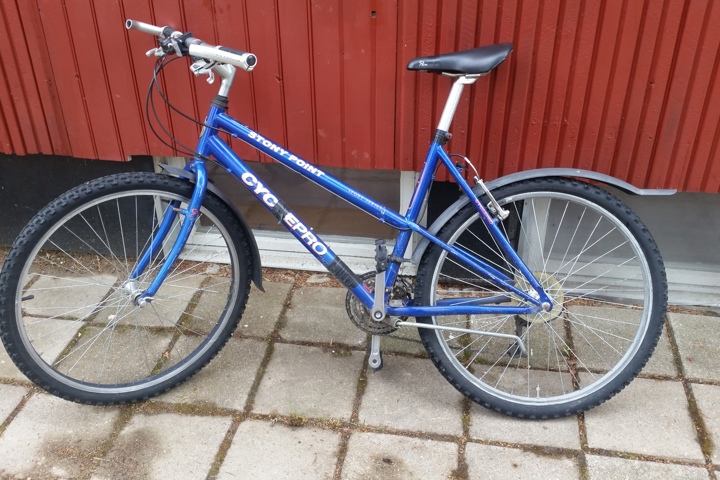 Experience Swedish Lapland / or Stockholm! - 21