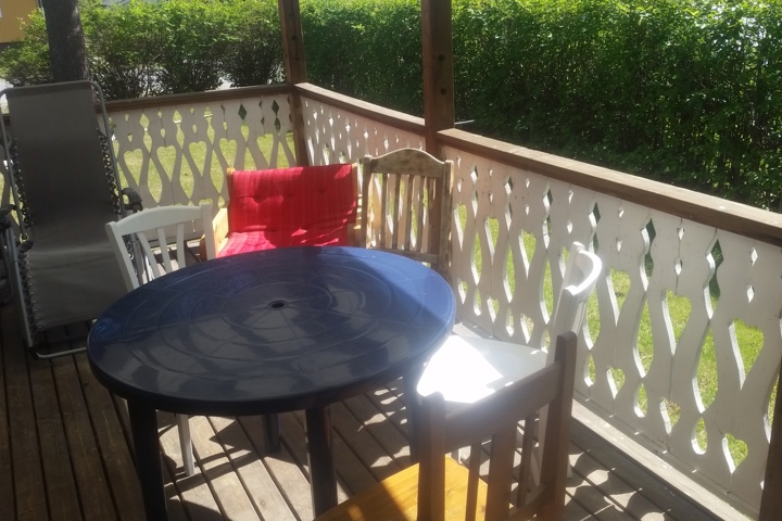 Experience Swedish Lapland / or Stockholm! - 22