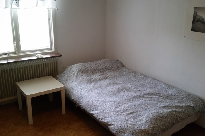 Experience Swedish Lapland / or Stockholm! - 23