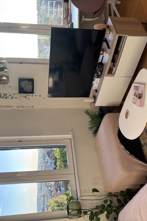 Cozy appartement in Brussels - 2