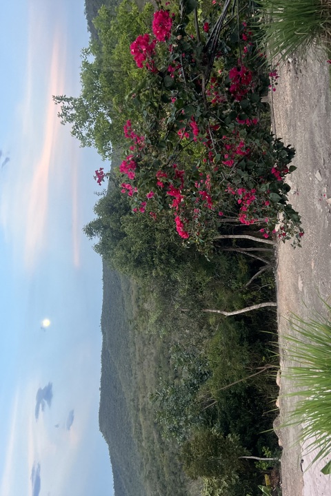 Eco chic home near oasis natural pools - 16