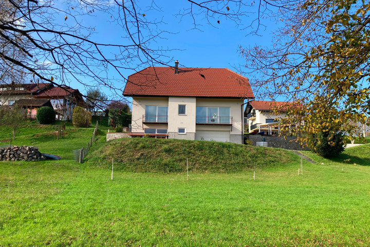 A beautiful country villa by the river in Slovenia - 3