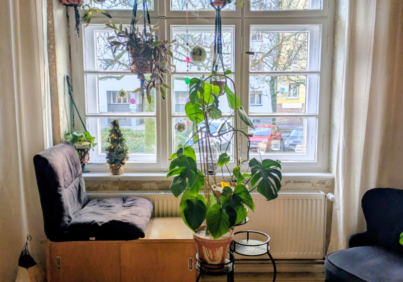home swap in Berlin, Germany