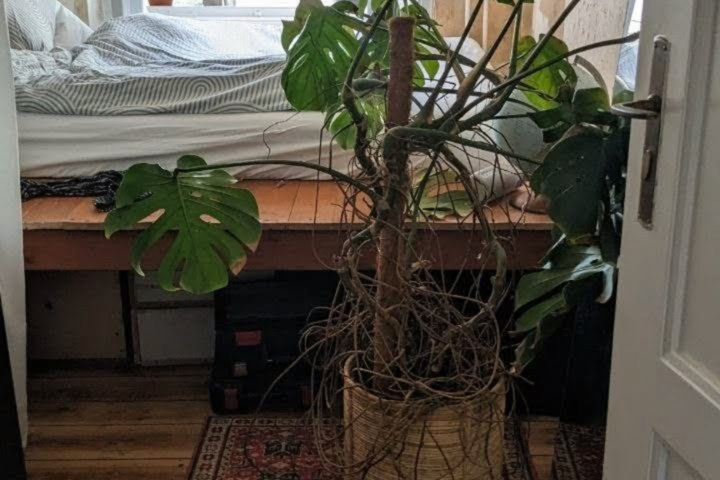 Bright 2-room Flat in Berlin Work-Friendly 💻 - 3