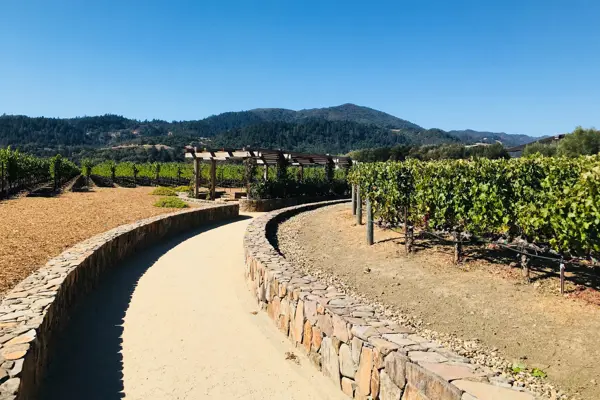 Home Swap California - Wine Tasting in Napa Valley