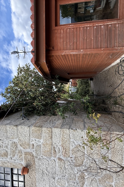 Azores Estate | Herdade de Açores - 6