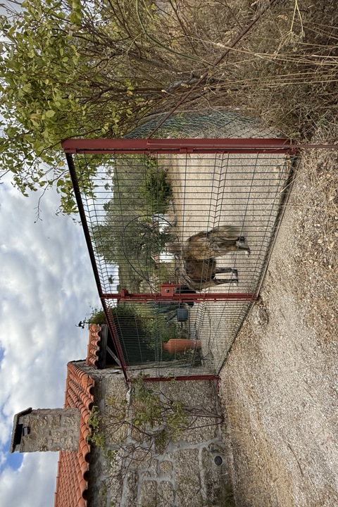 Azores Estate | Herdade de Açores - 8