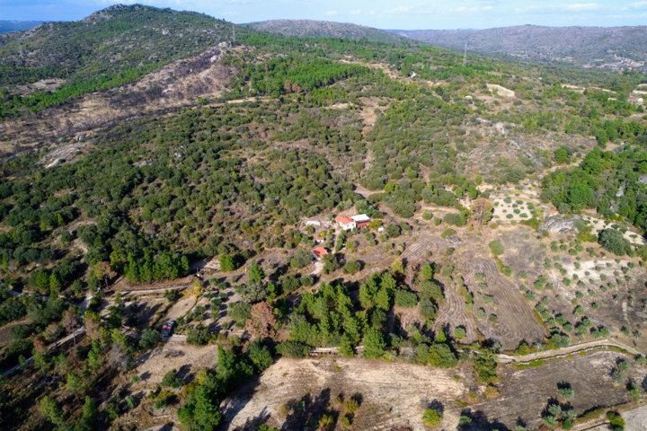 Azores Estate | Herdade de Açores - 9