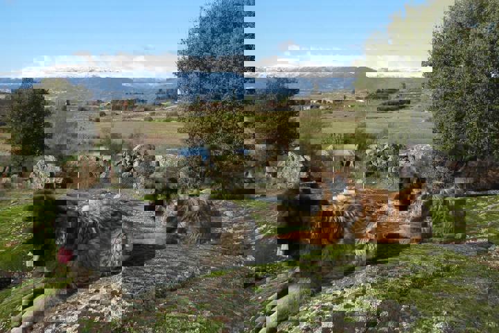 Azores Estate | Herdade de Açores - 10